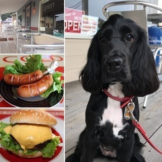 週末は愛犬とランチ