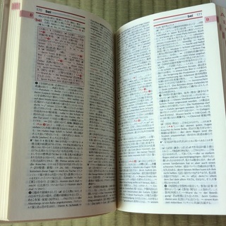 ドイツ語辞書 クラウンの画像