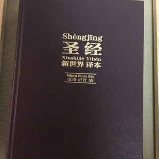 美品 中国語の聖書