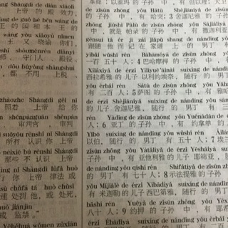 美品 中国語の聖書の画像
