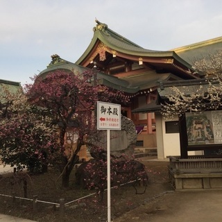 京都の土曜の朝を日本語で交流して有意義に過ごす仲間　募集
