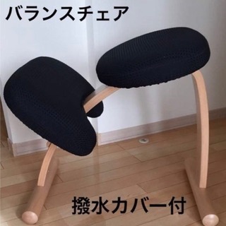 バランスチェア＋専用撥水カバー 廃盤色