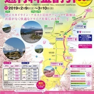 2月27日 伊豆方面、河津桜花見ツーリング