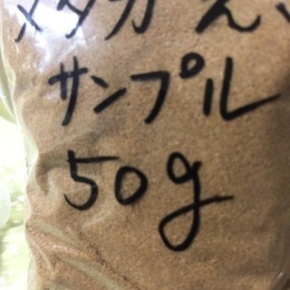 メダカ えさ