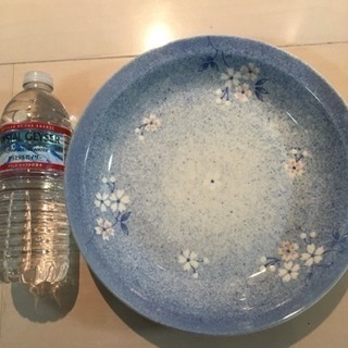 お花 青 大皿