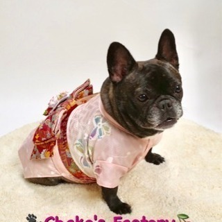 初めてでも大丈夫✨犬服教室🐾Chako's Factory🍒