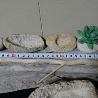 軽石鉢・6点セット。多肉植物等にいかがですか？の画像