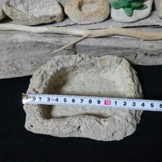 軽石鉢・6点セット。多肉植物等にいかがですか？の画像