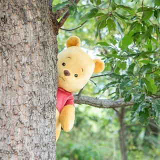ディズニー好きな人居たらラインから仲良くしてもらえませんか？(o...