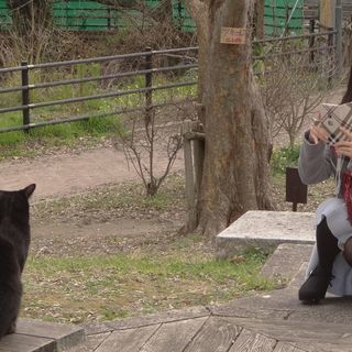 福岡を撮ろう　街の掲示板・カメラ探訪