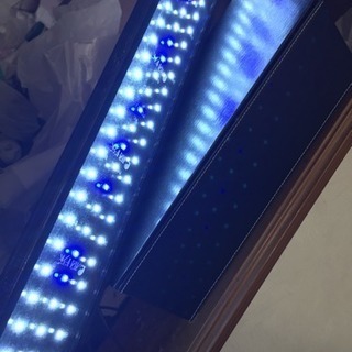 （お譲りする方が決まりました）1年半使用の水槽用60cmLEDラ...