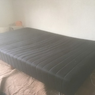 セミダブルベット