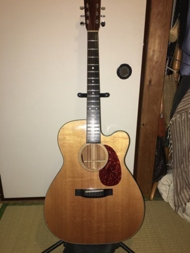 アコースティックギター Seagull(塩崎雅亮氏) M-50CW