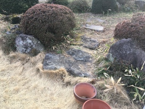 庭石 たくさんあります