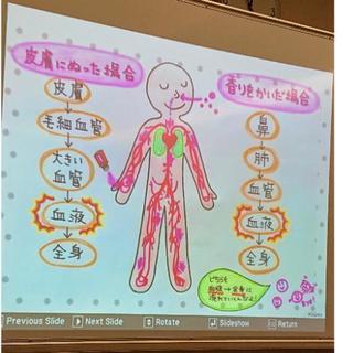 オリジナルのハンドクリーム作りのクラスです(*^^*)
の画像