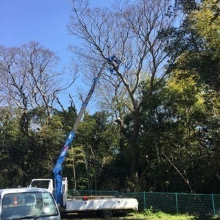 庭作り、庭のお手入れ、木や草の伐採、古家解体などなどご相談…
