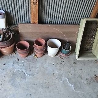植木鉢 無料で差し上げます。