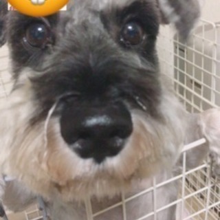 生涯可愛がってくれる方。