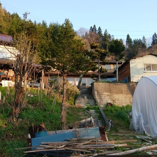 森と水　自給の家「乙」：畑・養鶏・狩猟・DIY