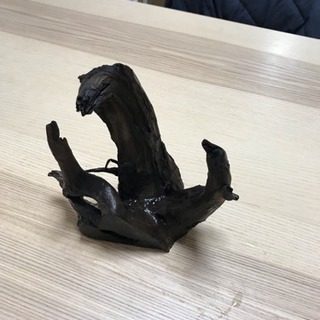流木②