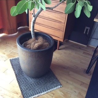 植木鉢 ユーポット ウーヌス