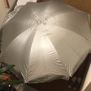 ビーチパラソルの画像