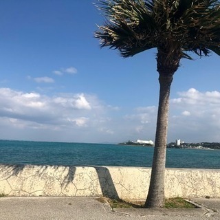 関東からの旅人。沖縄の友達募集です(^^) - 沖縄市