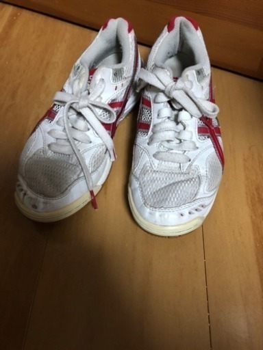 バレーーシューズ asics