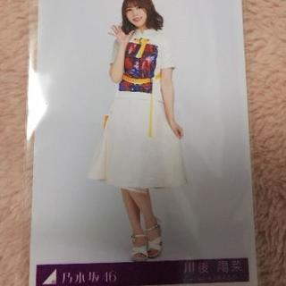 乃木坂46  川後陽菜   生写真