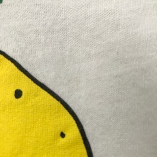 レア！元祖 ゆずT の画像