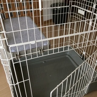 ◎お渡し済み◎新品同様 ケージ 猫 子猫 チンチラの画像