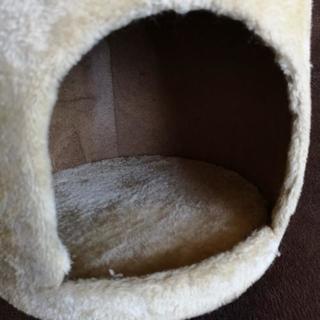 ねこちぐらの画像