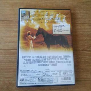【取引終了】DVD 【 ヤング ブラック･スタリオン】の画像