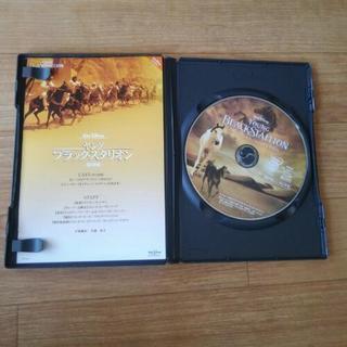 【取引終了】DVD 【 ヤング ブラック･スタリオン】の画像