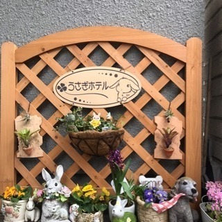 うさぎ専門ホテルオープン！！只今キャンペーン期間中1日1000円...