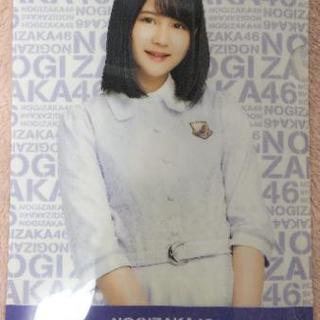 乃木坂46  中村麗乃  クリアファイル