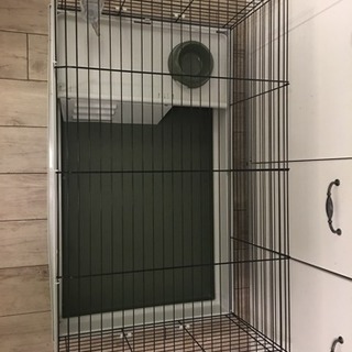 小動物 大型ゲージ