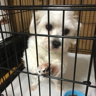 面会決まりました。
