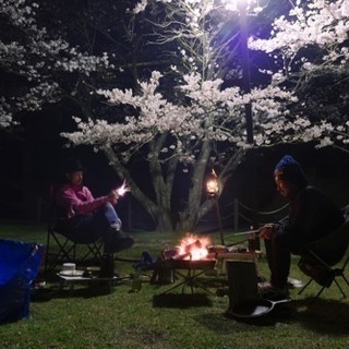 グループキャンプサークルメンバー募集 「フクキャン第３回お花見キ...