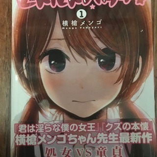 君は淫らな僕の女王 全巻セットなど 本日のみ
