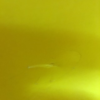 バンボの画像