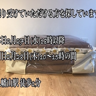 引き取り希望【2/27(水)18時以降または2/28(木)10-...