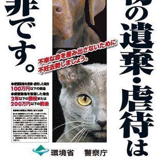 中年猫好きさん、動物好きさん♪1－2か月一回位イベントしています。近日は3月９日！ - メンバー募集
