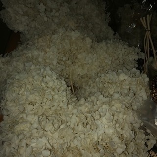 大地農園 アレンジ ハーバリウム材料