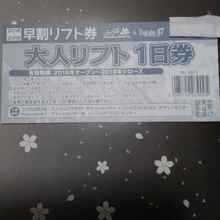 白馬五竜&４７ 大人リフト１日券