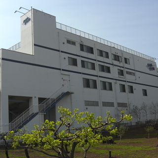 床下地処理工事リノベーションスタッフの画像