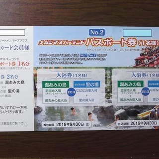 ナガシマスパーランド　パスポート券1枚　送料無料！