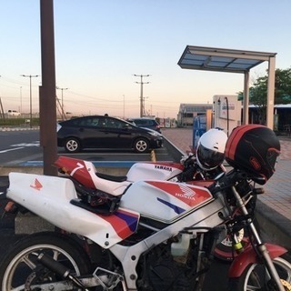 HONDA NS1 引き取り限定