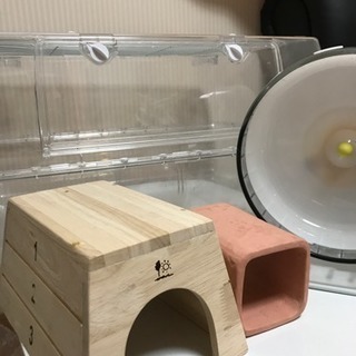 ハリネズミ  中古  ケージ類