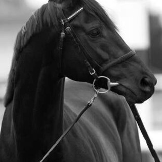 競馬トークできる方！